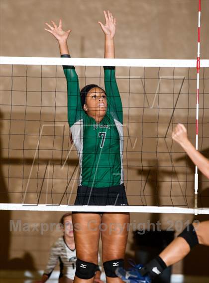 Thumbnail 3 in Pitman @ Gregori photogallery.