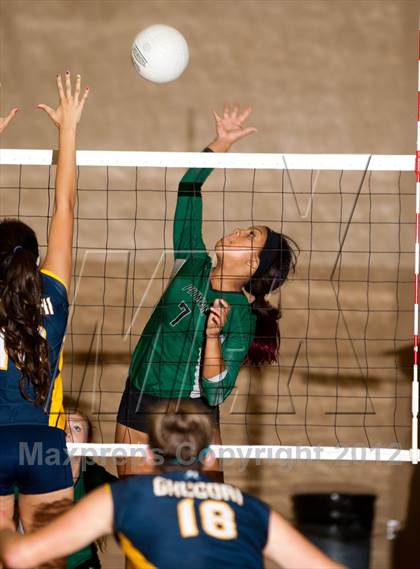 Thumbnail 1 in Pitman @ Gregori photogallery.