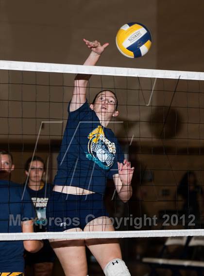 Thumbnail 1 in Pitman @ Gregori photogallery.
