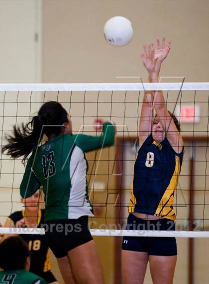 Thumbnail 1 in Pitman @ Gregori photogallery.