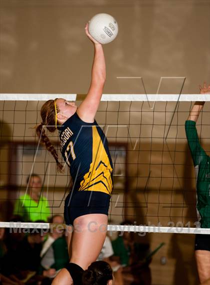 Thumbnail 1 in Pitman @ Gregori photogallery.