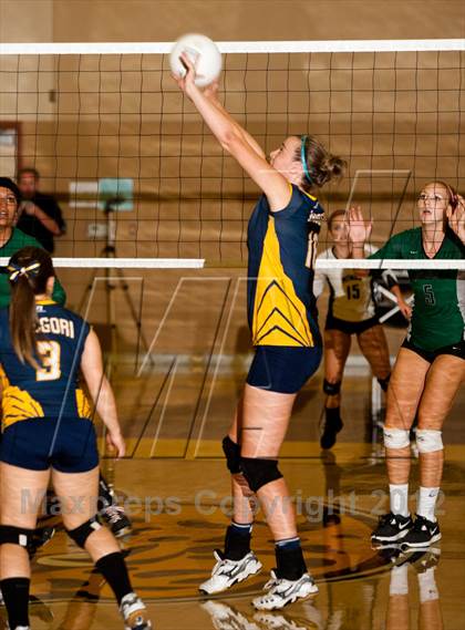 Thumbnail 3 in Pitman @ Gregori photogallery.