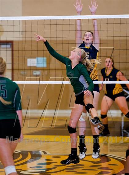 Thumbnail 3 in Pitman @ Gregori photogallery.