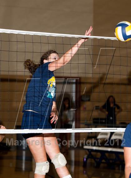 Thumbnail 2 in Pitman @ Gregori photogallery.