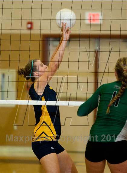Thumbnail 1 in Pitman @ Gregori photogallery.