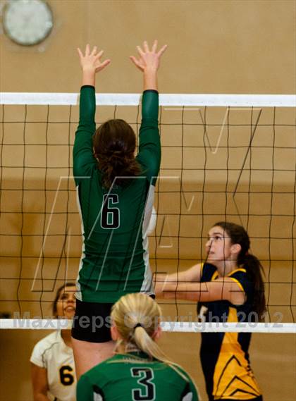 Thumbnail 3 in Pitman @ Gregori photogallery.