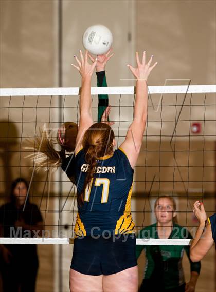 Thumbnail 2 in Pitman @ Gregori photogallery.