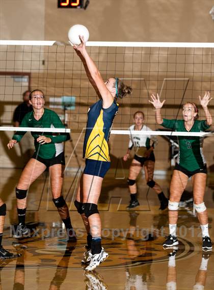 Thumbnail 1 in Pitman @ Gregori photogallery.