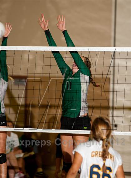 Thumbnail 1 in Pitman @ Gregori photogallery.