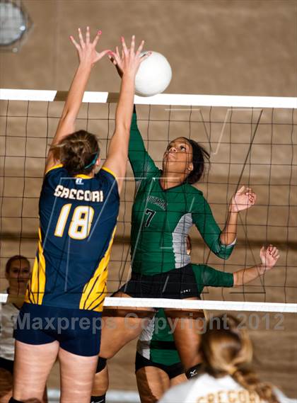 Thumbnail 2 in Pitman @ Gregori photogallery.