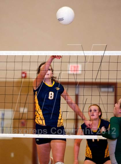 Thumbnail 1 in Pitman @ Gregori photogallery.