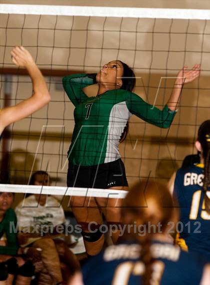 Thumbnail 1 in Pitman @ Gregori photogallery.