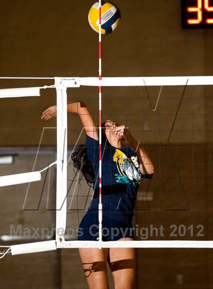 Thumbnail 1 in Pitman @ Gregori photogallery.
