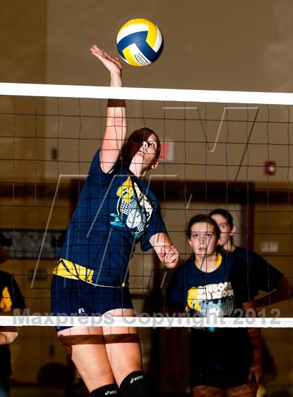 Thumbnail 2 in Pitman @ Gregori photogallery.