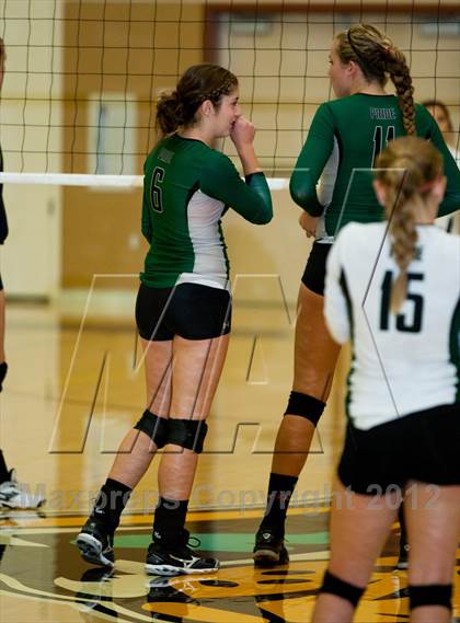 Thumbnail 2 in Pitman @ Gregori photogallery.