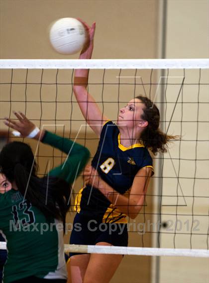 Thumbnail 1 in Pitman @ Gregori photogallery.