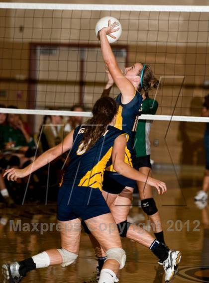 Thumbnail 2 in Pitman @ Gregori photogallery.