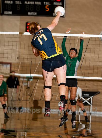 Thumbnail 1 in Pitman @ Gregori photogallery.