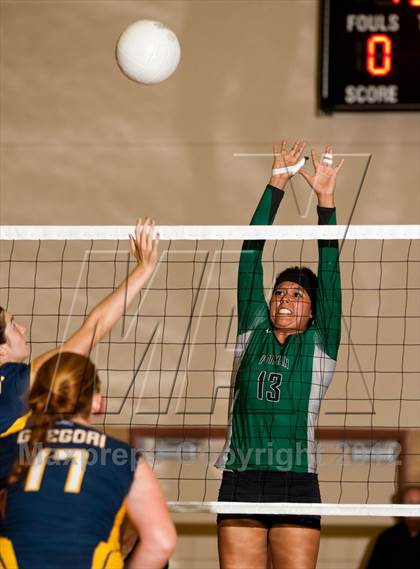 Thumbnail 3 in Pitman @ Gregori photogallery.