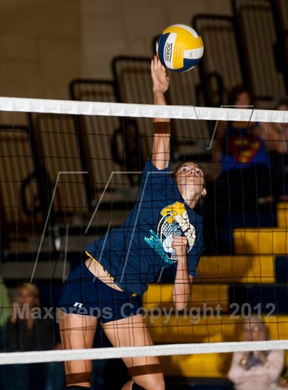 Thumbnail 2 in Pitman @ Gregori photogallery.