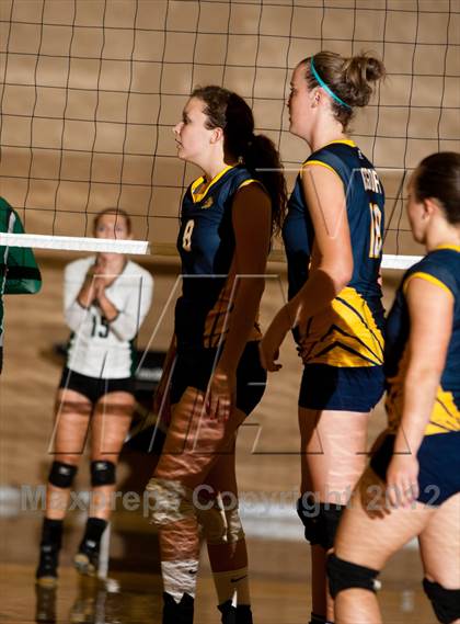 Thumbnail 2 in Pitman @ Gregori photogallery.