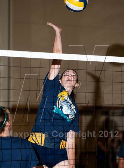 Thumbnail 3 in Pitman @ Gregori photogallery.