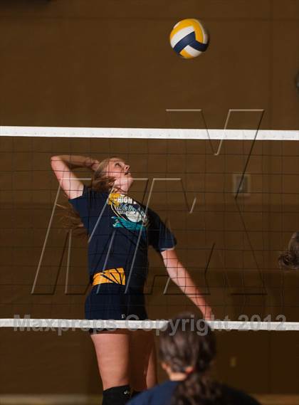 Thumbnail 2 in Pitman @ Gregori photogallery.