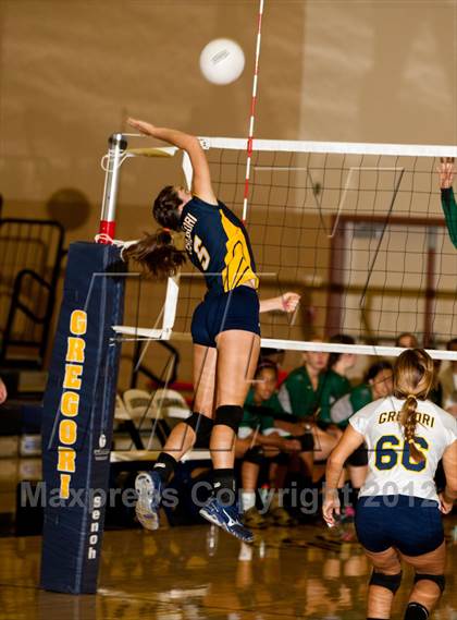 Thumbnail 3 in Pitman @ Gregori photogallery.