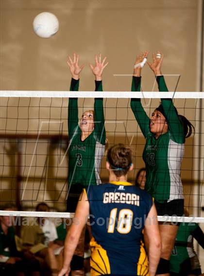 Thumbnail 2 in Pitman @ Gregori photogallery.
