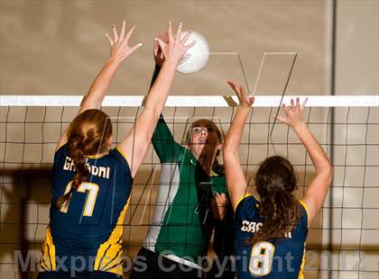 Thumbnail 2 in Pitman @ Gregori photogallery.