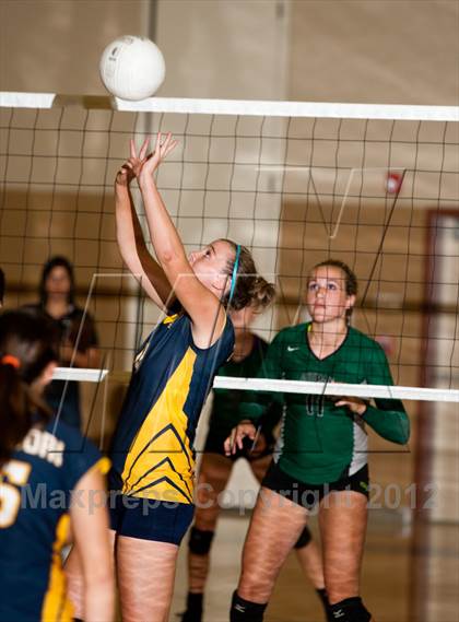 Thumbnail 1 in Pitman @ Gregori photogallery.