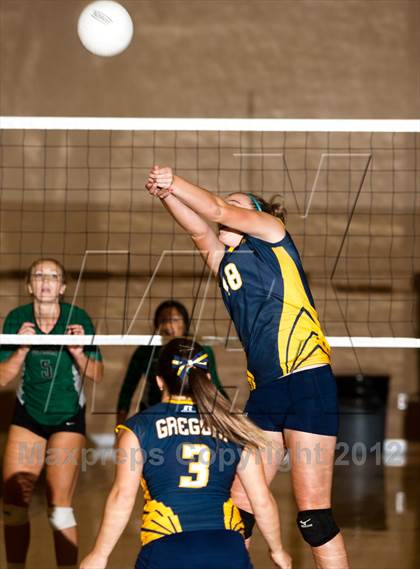 Thumbnail 2 in Pitman @ Gregori photogallery.