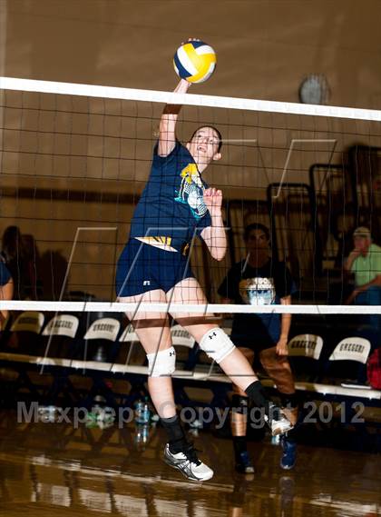 Thumbnail 2 in Pitman @ Gregori photogallery.