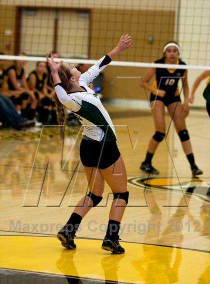 Thumbnail 3 in Pitman @ Gregori photogallery.