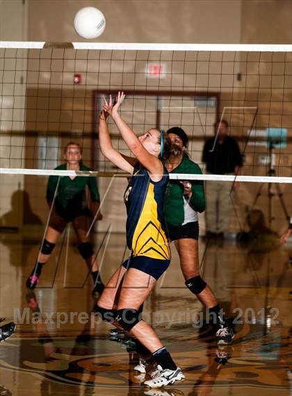 Thumbnail 3 in Pitman @ Gregori photogallery.