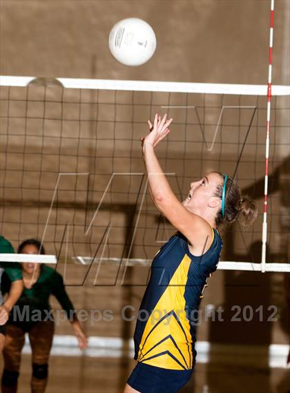 Thumbnail 2 in Pitman @ Gregori photogallery.