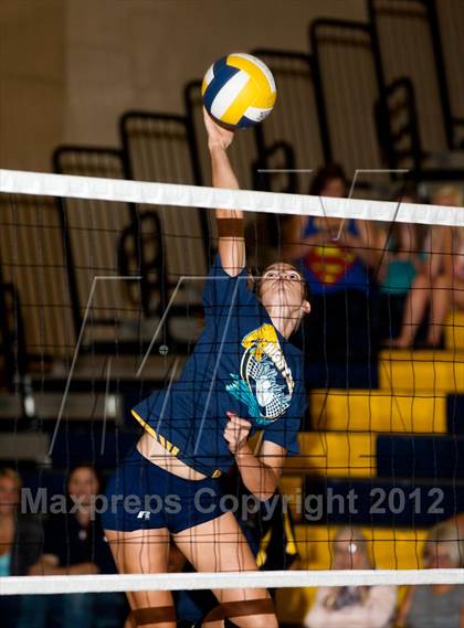 Thumbnail 1 in Pitman @ Gregori photogallery.