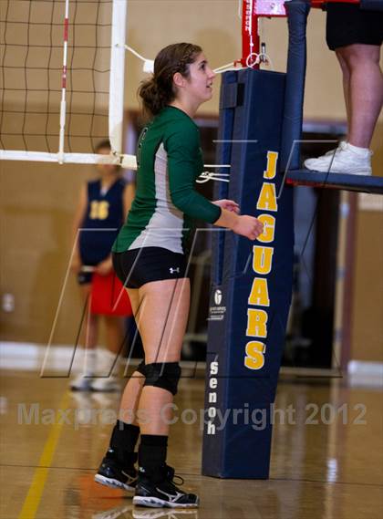 Thumbnail 1 in Pitman @ Gregori photogallery.