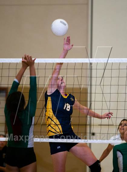 Thumbnail 1 in Pitman @ Gregori photogallery.