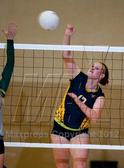 Thumbnail 3 in Pitman @ Gregori photogallery.
