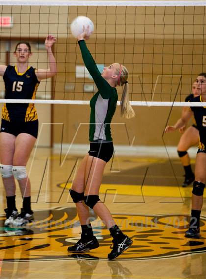 Thumbnail 1 in Pitman @ Gregori photogallery.