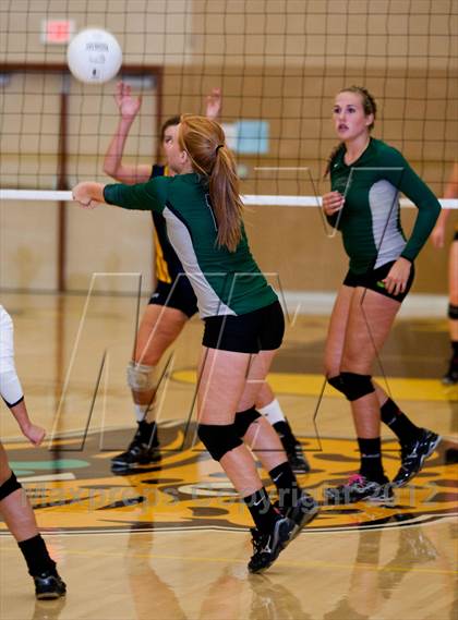 Thumbnail 2 in Pitman @ Gregori photogallery.