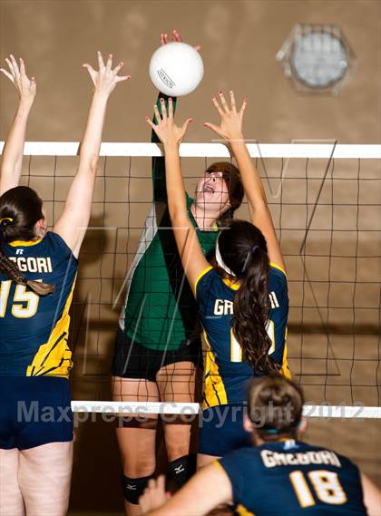 Thumbnail 2 in Pitman @ Gregori photogallery.