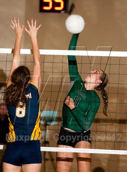 Thumbnail 3 in Pitman @ Gregori photogallery.