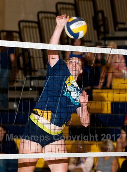 Thumbnail 3 in Pitman @ Gregori photogallery.