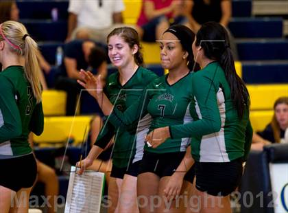 Thumbnail 3 in Pitman @ Gregori photogallery.