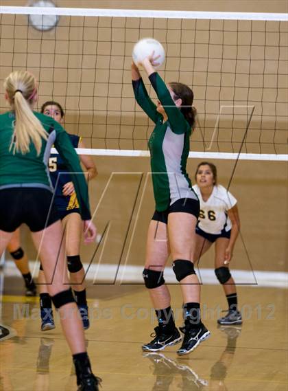 Thumbnail 3 in Pitman @ Gregori photogallery.