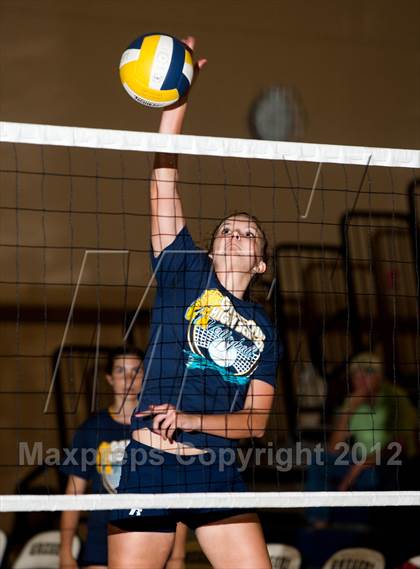 Thumbnail 3 in Pitman @ Gregori photogallery.