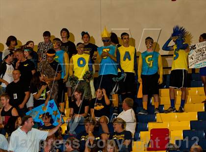 Thumbnail 3 in Pitman @ Gregori photogallery.