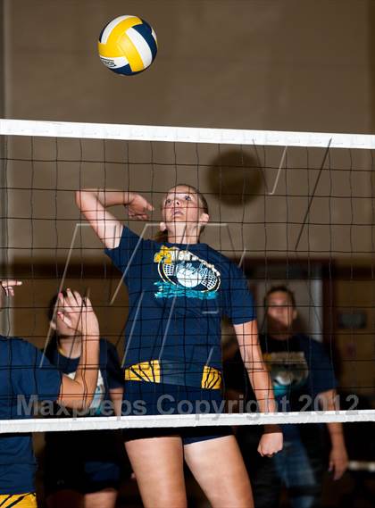 Thumbnail 1 in Pitman @ Gregori photogallery.